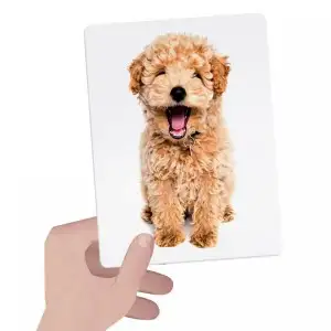 HEADU MONTESSORI - CARTI TACTILE