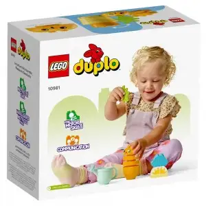 KIT DE CULTIVARE AL MORCOVULUI