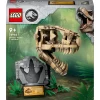 FOSILE DE DINOZAUR: CRANIU DE T.REX