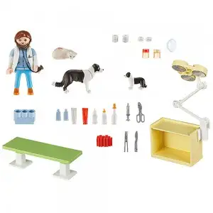 SET PORTABIL - IN VIZITA LA VETERINAR