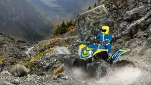 QUAD POLICE