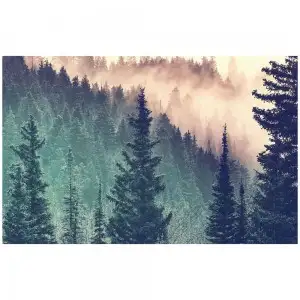 PUZZLE PADURE, 200 PIESE