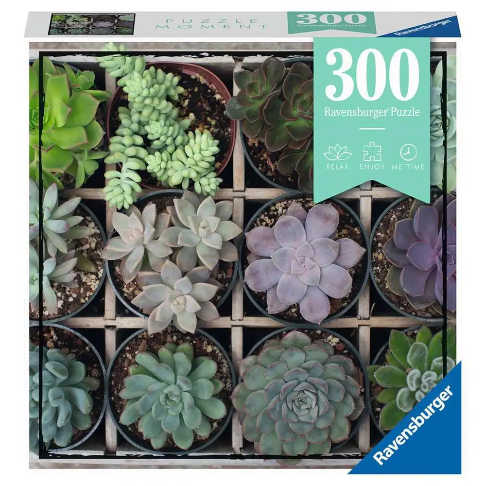 puzzle plante suculente, 300 piese