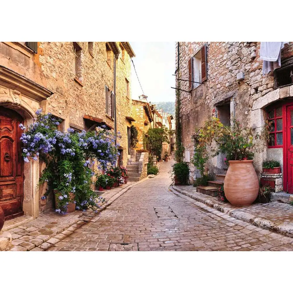 puzzle franta mediteraneana, 1000 piese