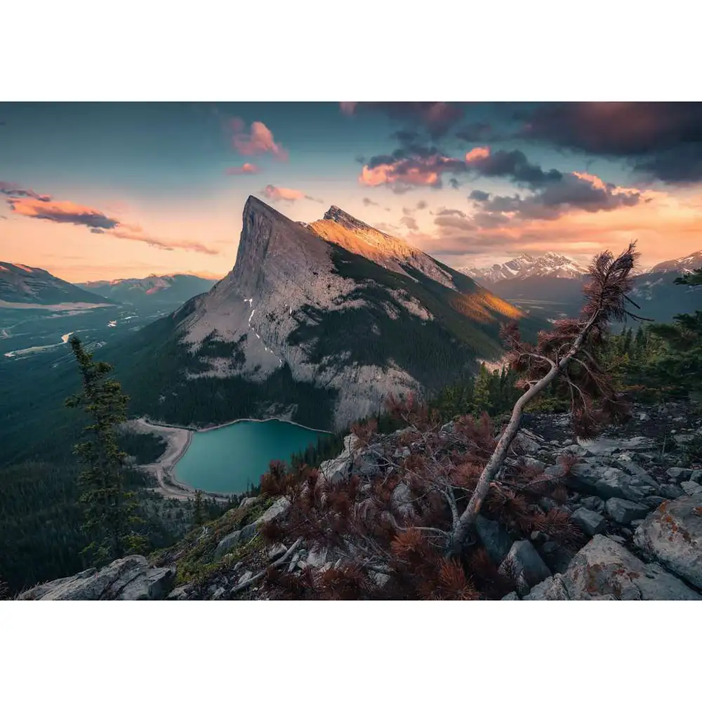 puzzle natura salbatica, 1000 piese