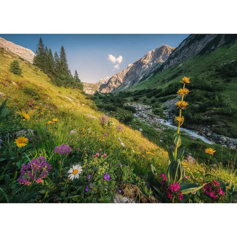 puzzle in gradina din eden, 1000 piese