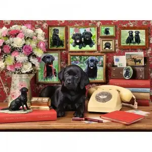PUZZLE CATEL LOIAL, 500 PIESE