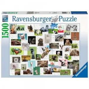 RVSPA16711-PUZZLE COLAJ CU ANIMALE, 1500 PIESE