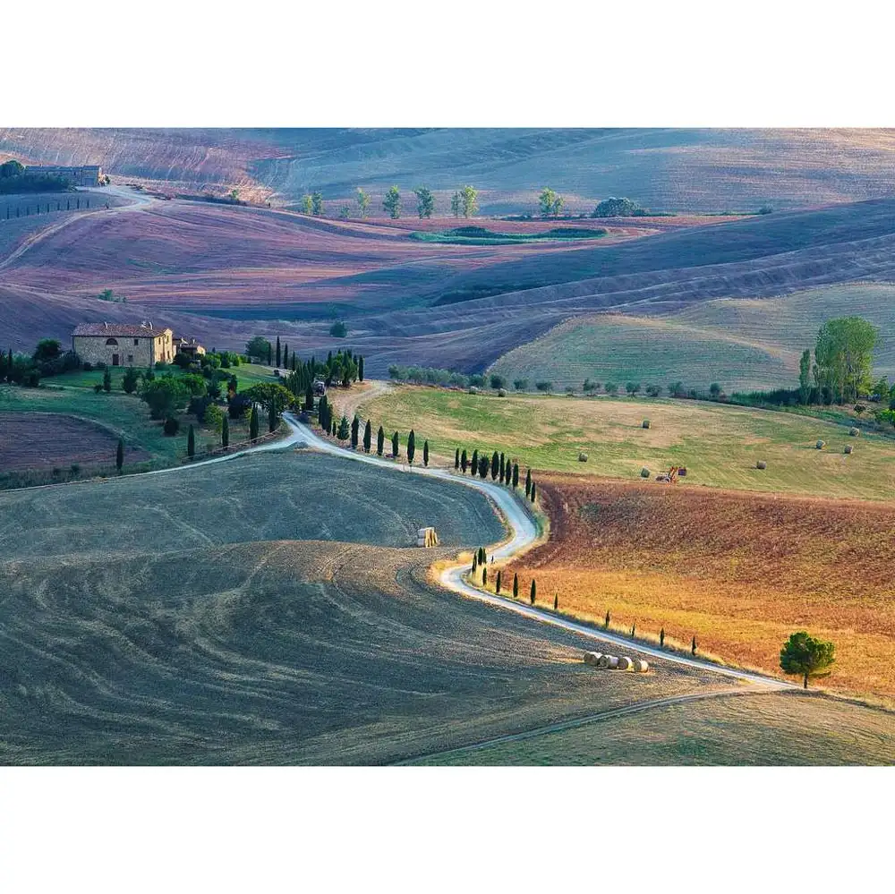 puzzle pienza, 1000 piese