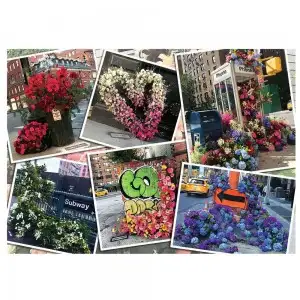 PUZZLE FLORI IN NEW YORK, 1000 PIESE