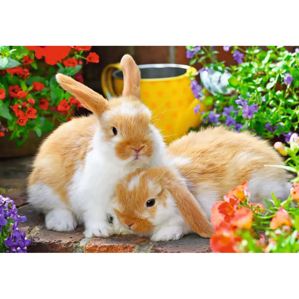 puzzle porcusor de guinea si iepuras, 2x12 piese